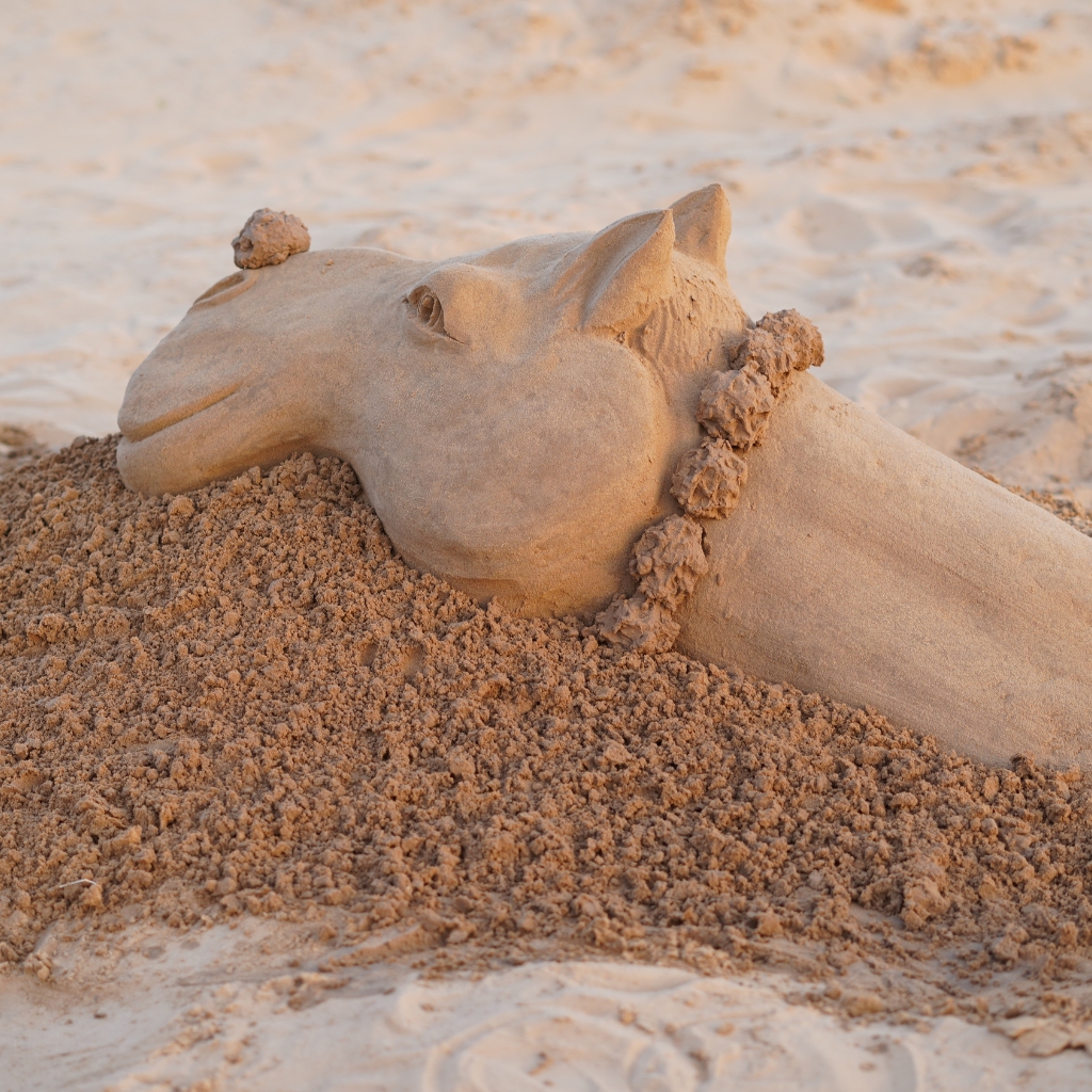 Sand Art Ajay Rawat Pushkar